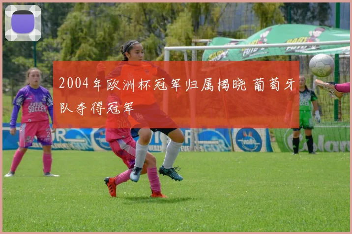 2004年欧洲杯冠军归属揭晓 葡萄牙队夺得冠军